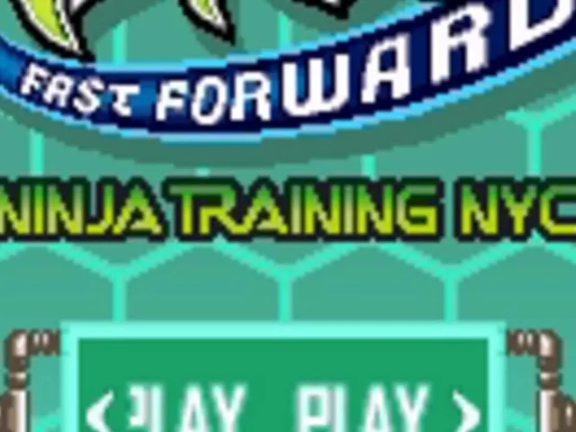 Teenage Mutant Ninja Turtles Fast Forward: Ninja Training NYC