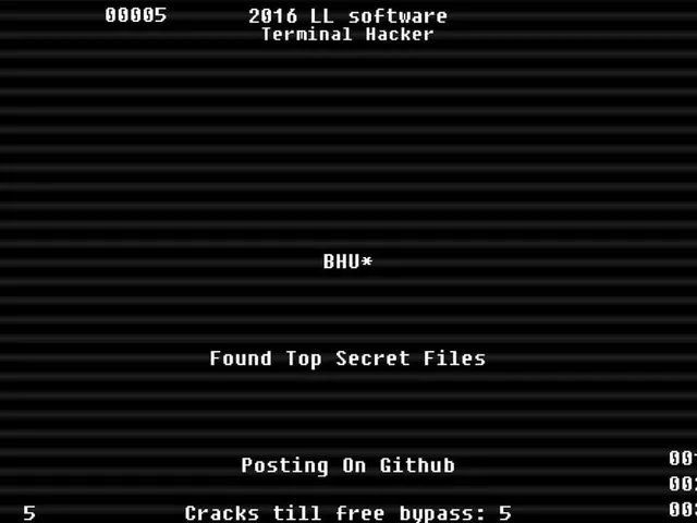 Terminal Hacker