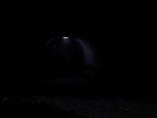 Test of Fear