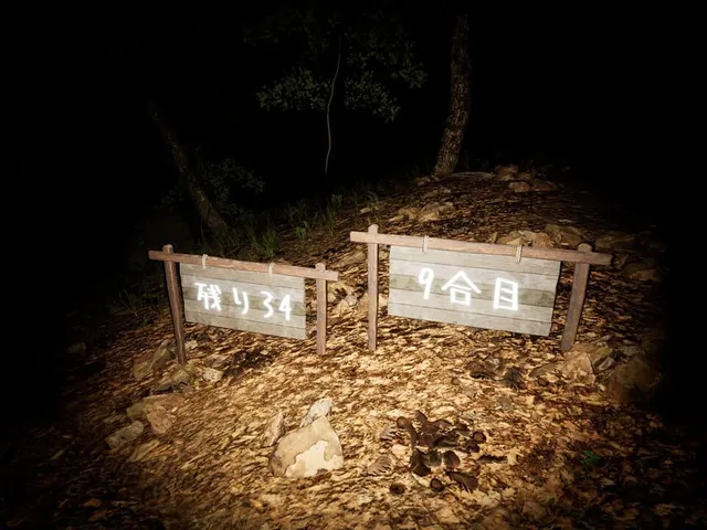 The 9th Station of M.t...