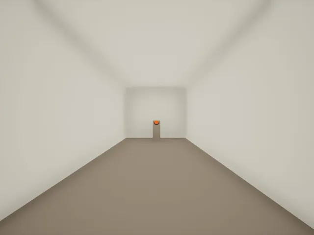 The Corridor