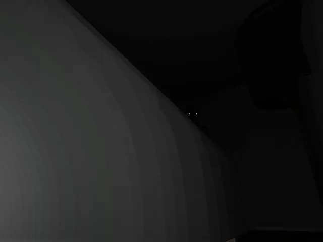 The Dark Stares Back