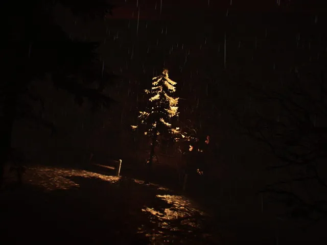 The Dark Tones: Loss