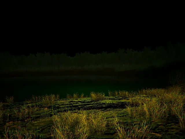 The Death Forest