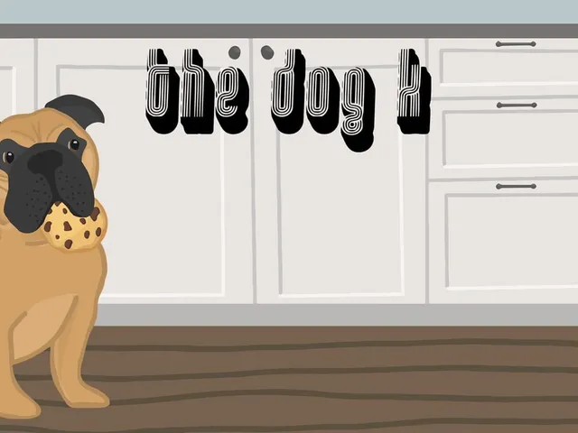The Dog K