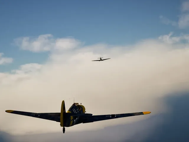 The Few