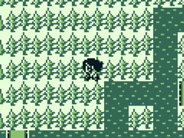 The Final Fantasy Legend