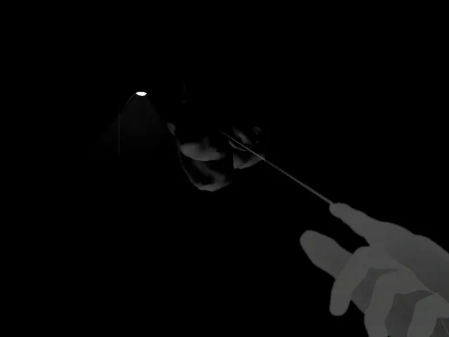 The Final Image