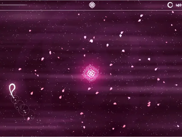 The Flow Experience