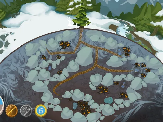 The Forest Below
