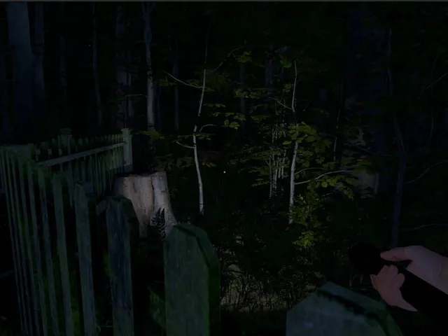 The Greys: Human Abductions
