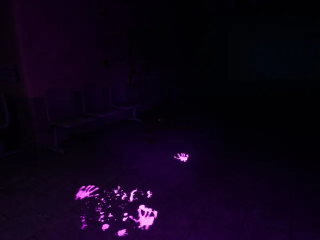 The Haunted Hospice