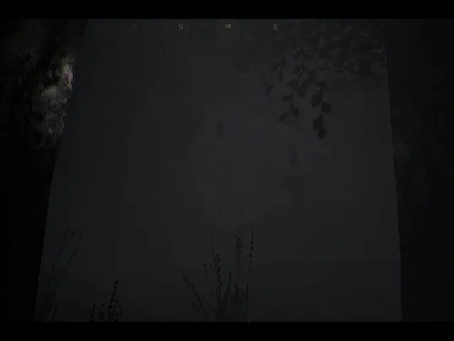 The House in the Woods