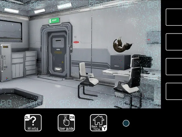 The Kitty in The Spaceship