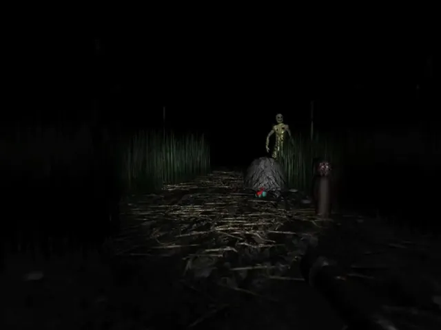 The Lake of the Blind Mannequin