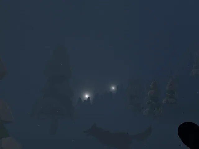 The Last Cove