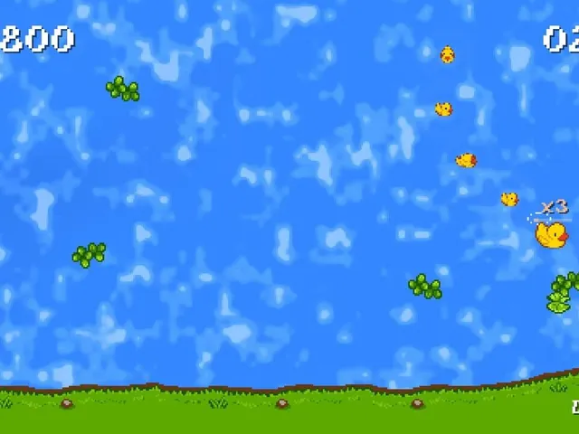 The Little Adventure of the Rubber Duck