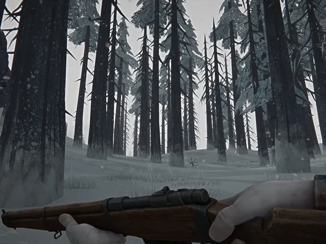 The Long Dark