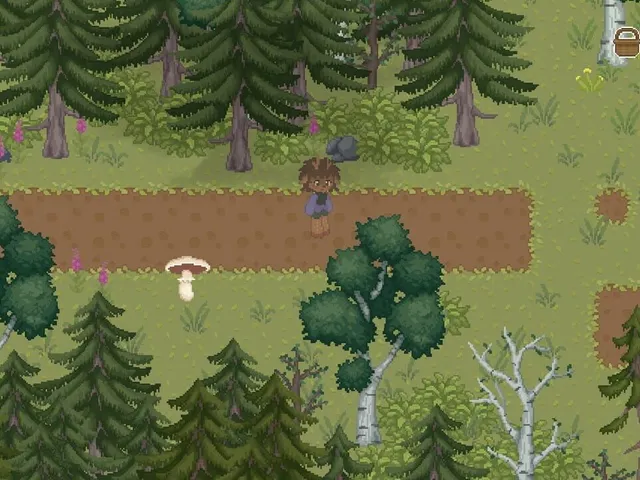 The Mushroom Journal