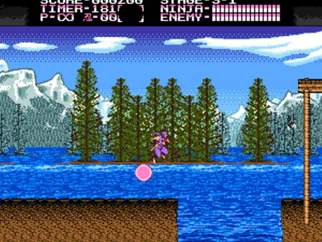 The Ninja Gaiden as Interpreted by MiniMacro Sound