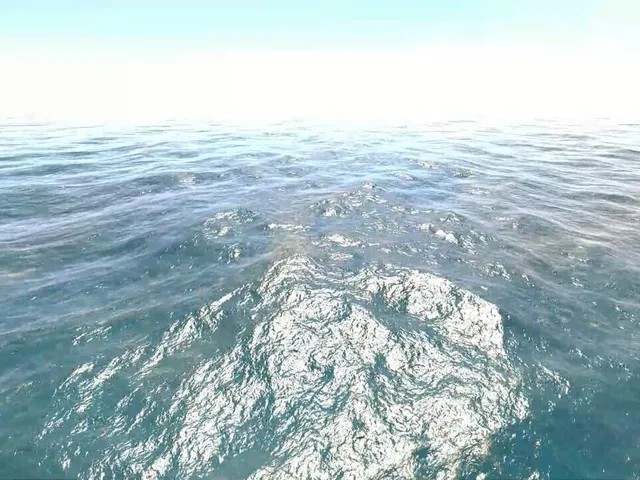 The Ocean