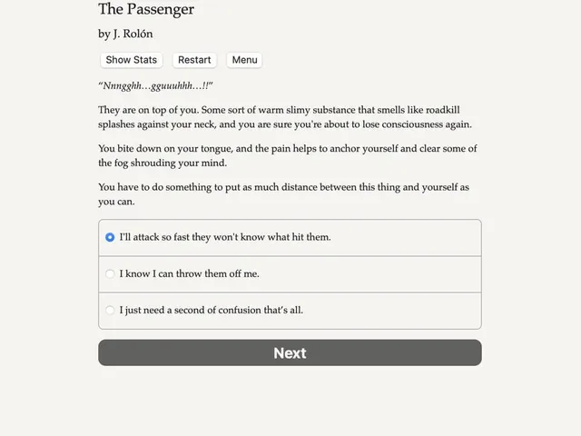The Passenger