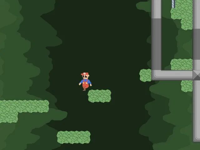The Plumber Thing