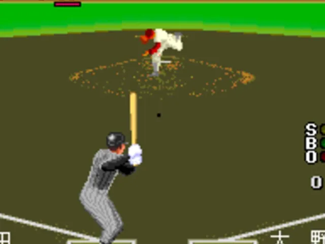The Pro Yakyuu