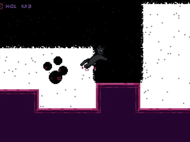 The Quantum Cat
