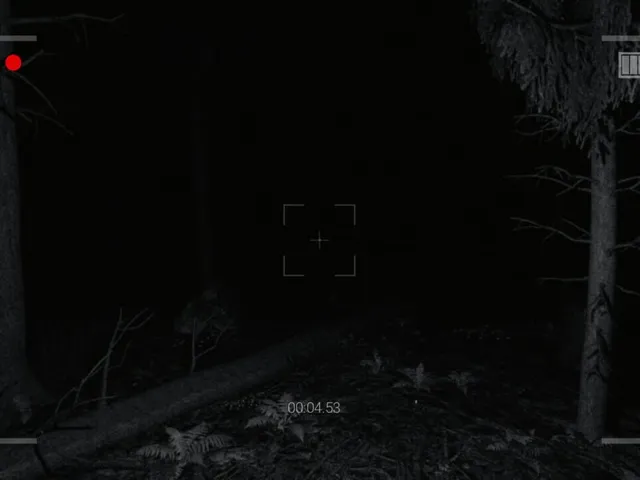 The Rake Sees You