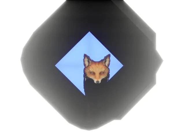 The Rift