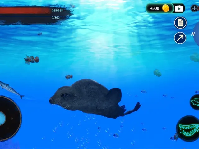 The Sea Lion
