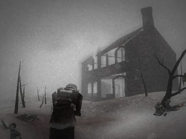 The Snowfield