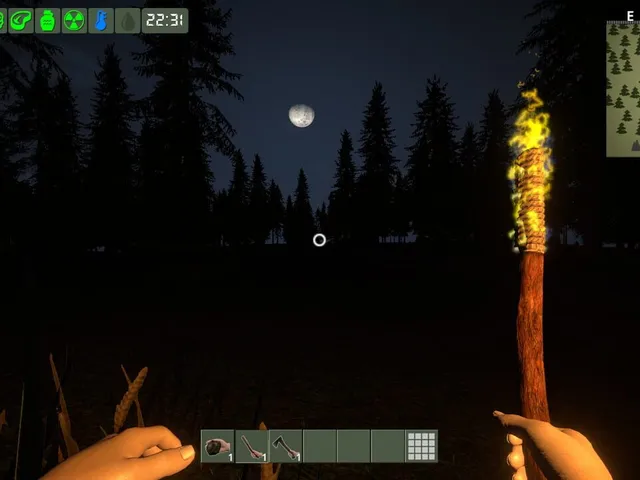 The Survivor