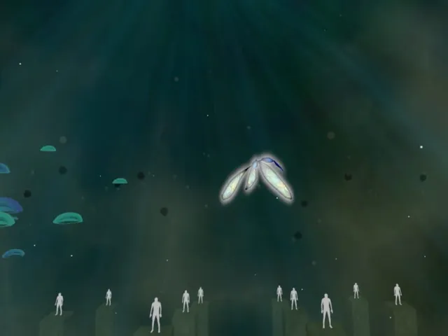 The Tear