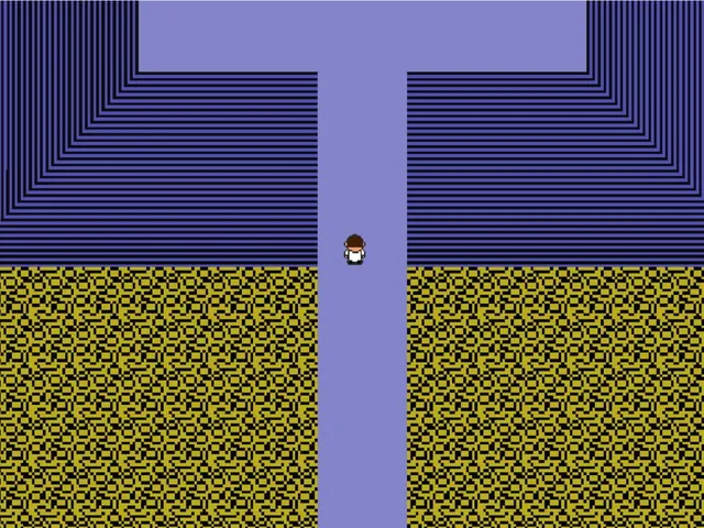The Time Watcher