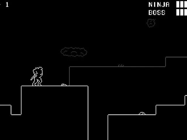 The Umbrella Ninja