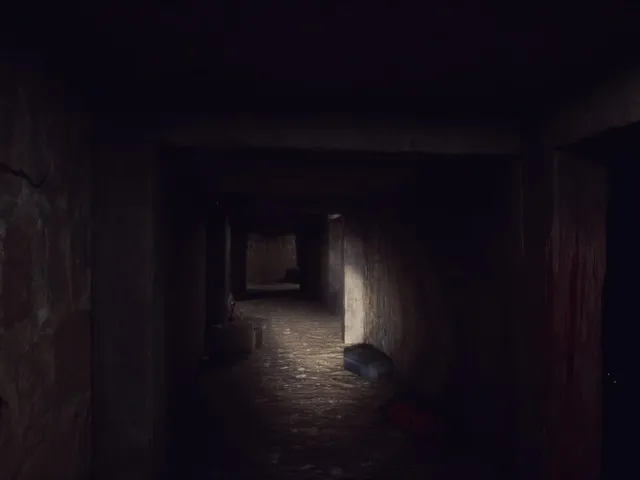 The Unseen