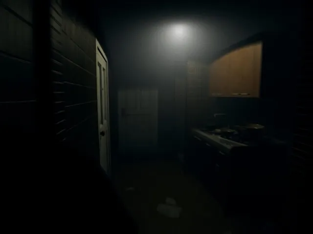 The Visit: Mizukawa