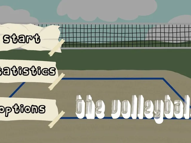 The Volleyball B