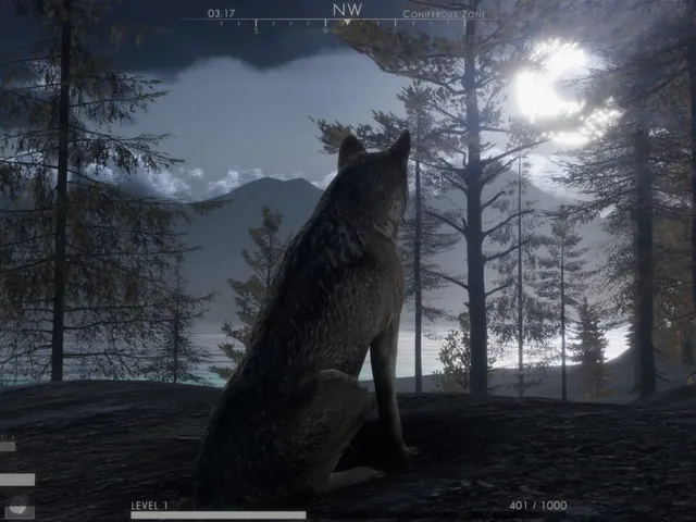 The Wilds