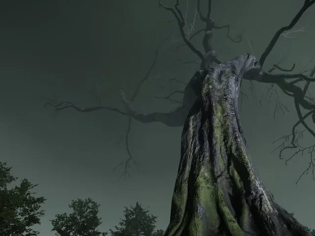 The Witch's Redemption