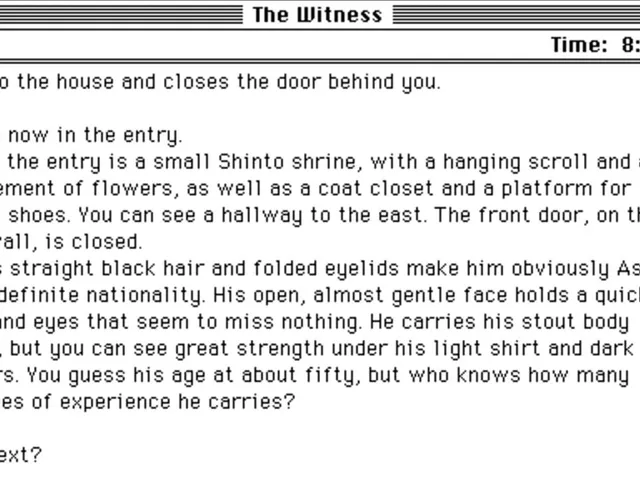 The Witness