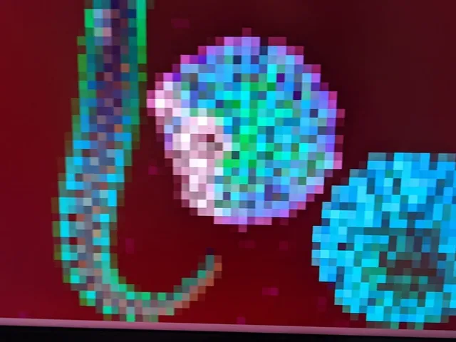 The worm game