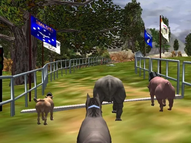 The Zoo Race