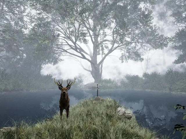 TheLostWoods