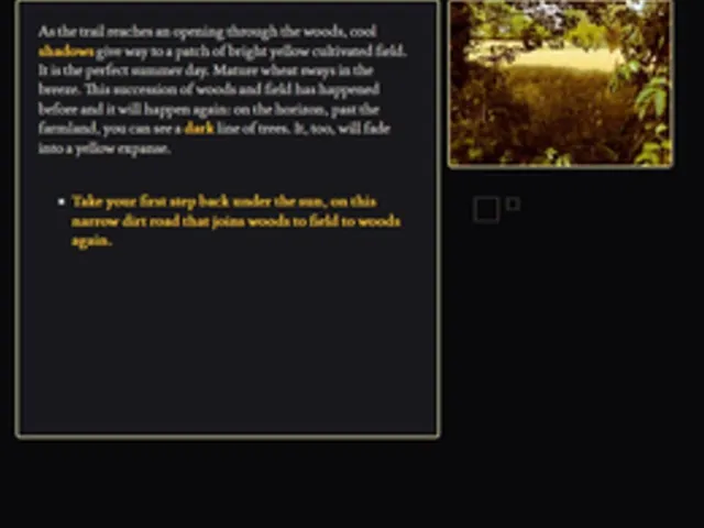 This is a Black Parallelepipedon in a Yellow Field