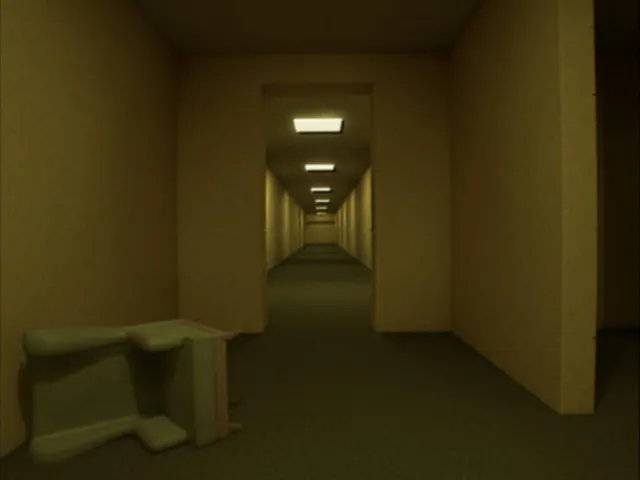 Through the Backrooms
