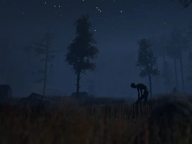 Through the Woods