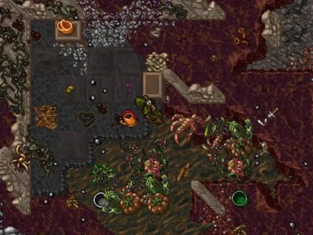 Tibia